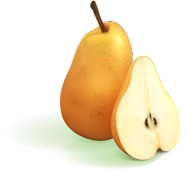 36ac3167 Naturous Illustration 1