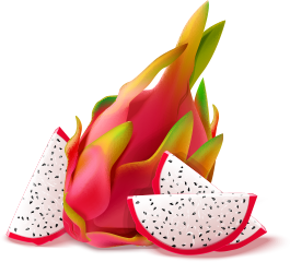 F806e6f2 Naturous Illustration 2