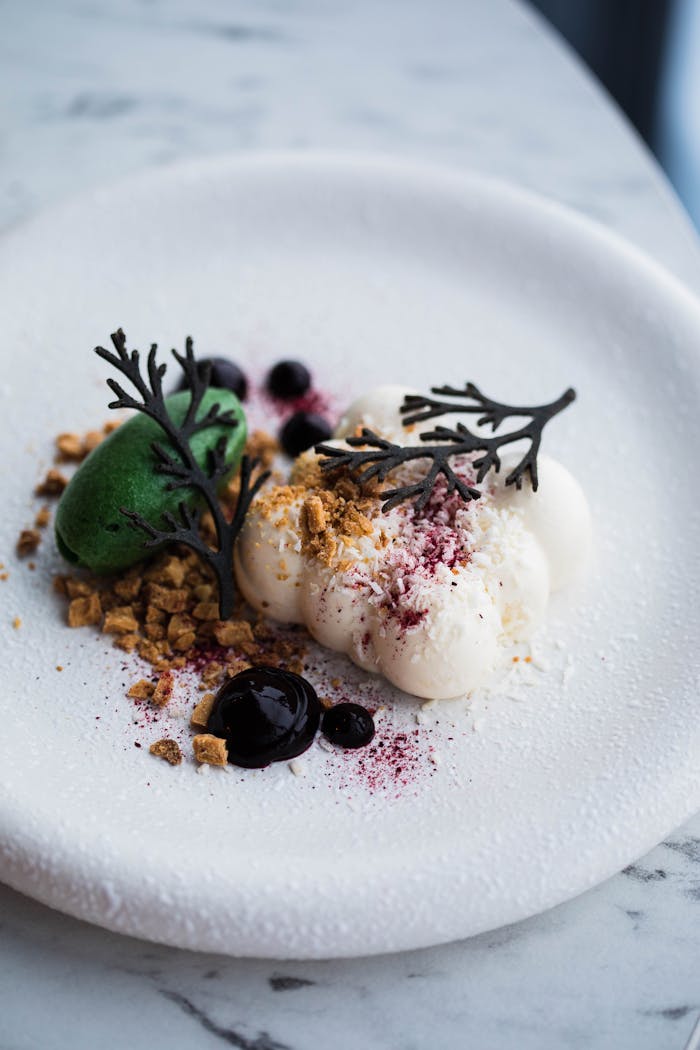 A beautifully plated dessert featuring creamy textures, berries, and artistic presentation.